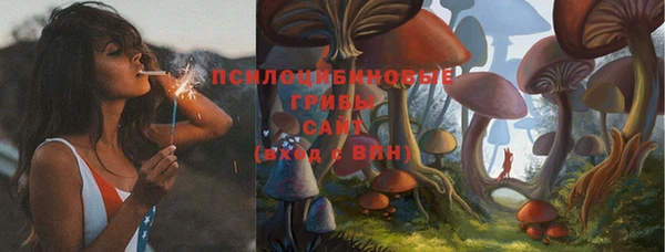 дурь Зеленокумск