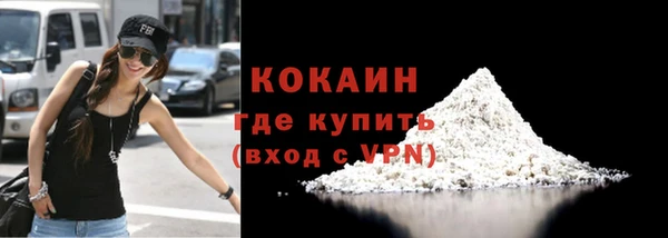 прущие грибы Сясьстрой