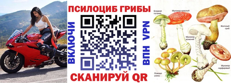 MEGA вход Михайловка Псилоцибиновые грибы MAGIC MUSHROOMS