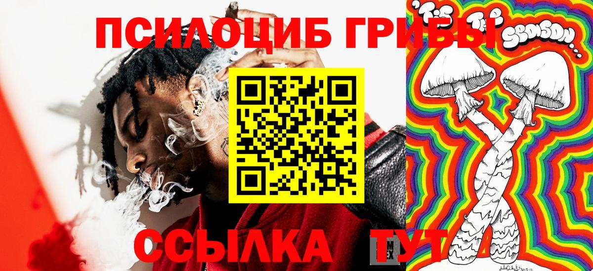 Псилоцибиновые грибы Psilocybe Михайловка
